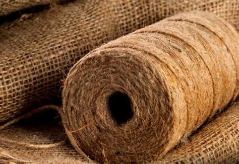 Jute: Uma Fibra Natural Versátil para Aplicações de Alta Resistência!